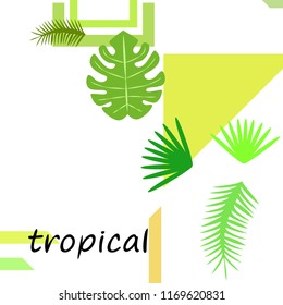 tropical summer tropical plant vector background