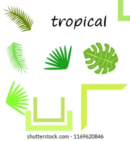 tropical summer tropical plant vector background