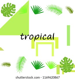 tropical summer tropical plant vector background