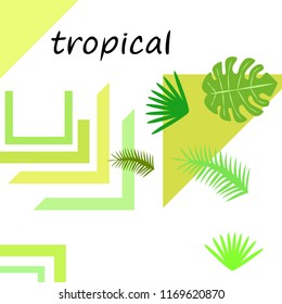 tropical summer tropical plant vector background