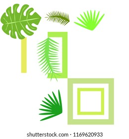 tropical summer tropical plant vector background