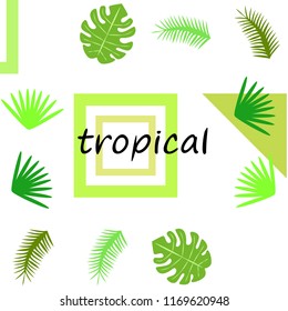 tropical summer tropical plant vector background