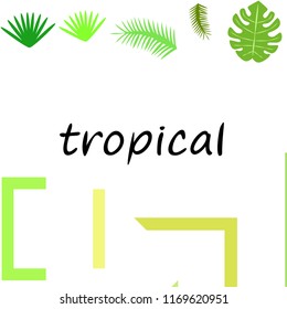 tropical summer tropical plant vector background