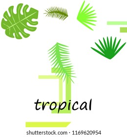 tropical summer tropical plant vector background