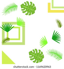 tropical summer tropical plant vector background
