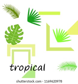 tropical summer tropical plant vector background