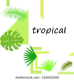 tropical summer tropical plant vector background