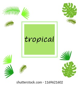 tropical summer tropical plant vector background