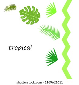 tropical summer tropical plant vector background