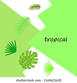 tropical summer tropical plant vector background