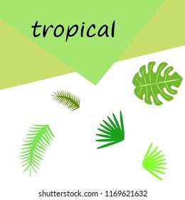 tropical summer tropical plant vector background
