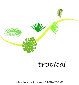 tropical summer tropical plant vector background