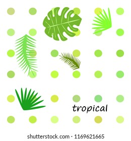 tropical summer tropical plant vector background