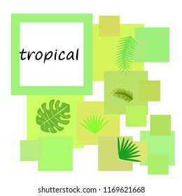 tropical summer tropical plant vector background