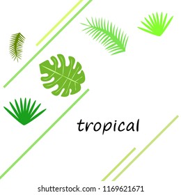 tropical summer tropical plant vector background