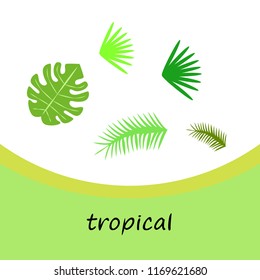 tropical summer tropical plant vector background