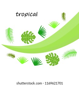 tropical summer tropical plant vector background