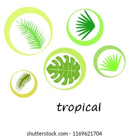 tropical summer tropical plant vector background