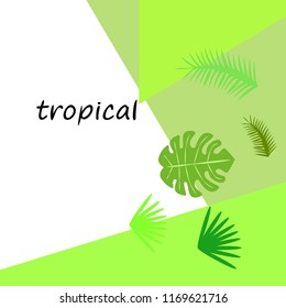 tropical summer tropical plant vector background