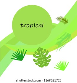 tropical summer tropical plant vector background