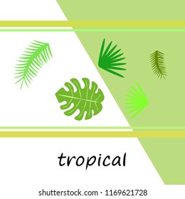 tropical summer tropical plant vector background