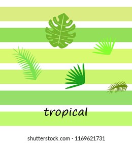 tropical summer tropical plant vector background
