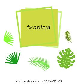 tropical summer tropical plant vector background