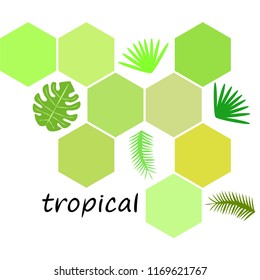 tropical summer tropical plant vector background