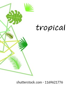 tropical summer tropical plant vector background