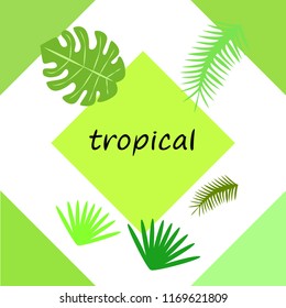 tropical summer tropical plant vector background
