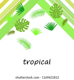 tropical summer tropical plant vector background