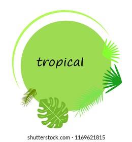 tropical summer tropical plant vector background