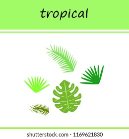 tropical summer tropical plant vector background