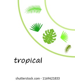 tropical summer tropical plant vector background