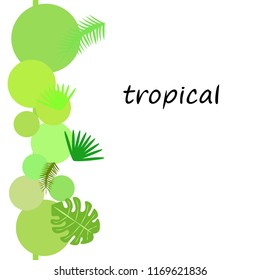 tropical summer tropical plant vector background