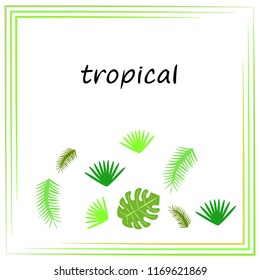 tropical summer tropical plant vector background