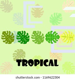 tropical summer tropical plant vector background