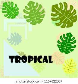 tropical summer tropical plant vector background