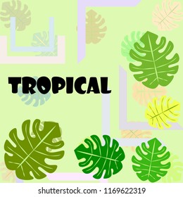 tropical summer tropical plant vector background