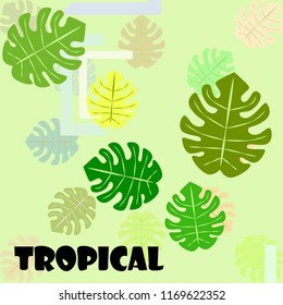 tropical summer tropical plant vector background