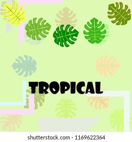tropical summer tropical plant vector background