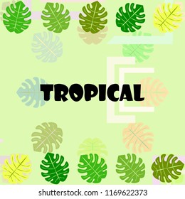 tropical summer tropical plant vector background