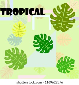 tropical summer tropical plant vector background