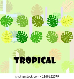 tropical summer tropical plant vector background