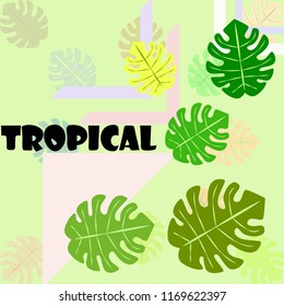 tropical summer tropical plant vector background