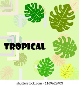 tropical summer tropical plant vector background