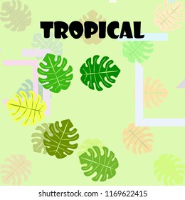 tropical summer tropical plant vector background