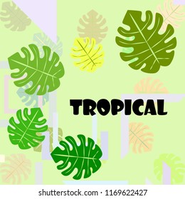 tropical summer tropical plant vector background