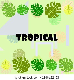 tropical summer tropical plant vector background