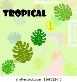 tropical summer tropical plant vector background